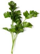 Parsley Species: Petroselinum crispum (carrot family) Origin: Mediterranean region Traditionally used for medicinal