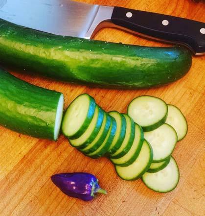 Vegetables Kosher Pickles (not
