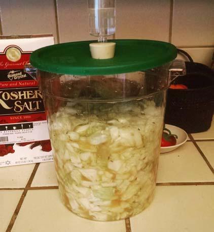 pickles) Sauerkraut Fermented