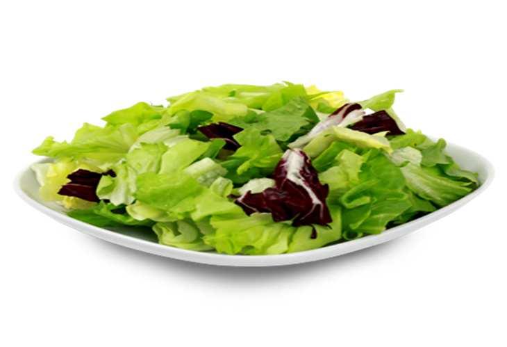 Plats froids / Kalte Gerichte / Cold dishes 11 Salade verte Petit-Klein-Small