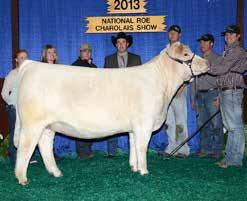 Summit Princess A9 Many time jackpot show winner in Texas