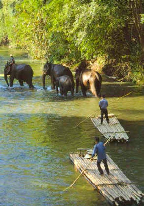 Package A1 Elephant Safari & Rafting. (Full Day Tour) A pleasant scenic trip north by minibus along the Chiang Mai Fang route.