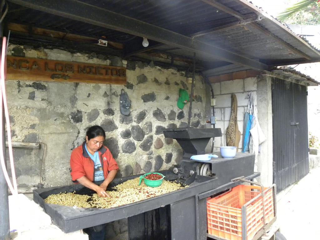Coffee Processing Shed houses the Despulpador Machine for