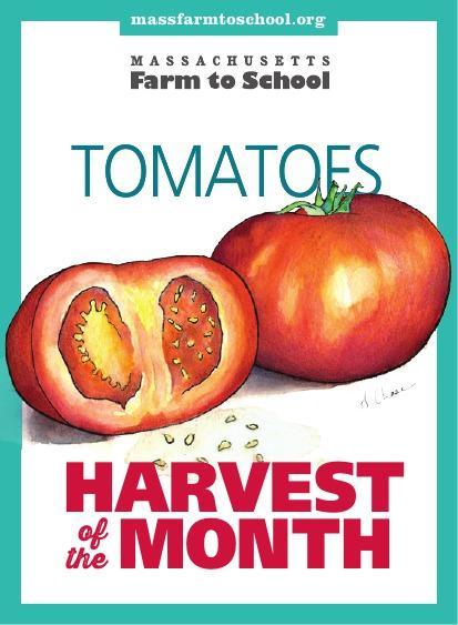 September Harvest TOMATOES! Americans eat 22-24 pounds of tomatoes per person per year! 93% of American gardeners grow tomatoes in their yards. Look for tomatoes in your meals.