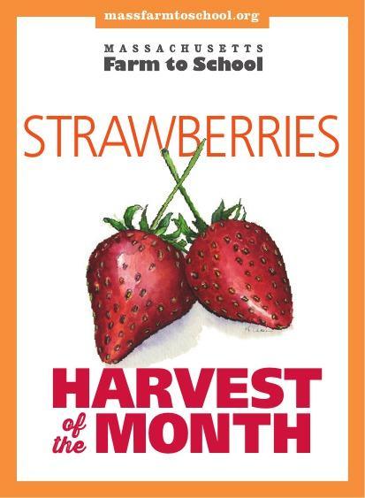 June Harvest Strawberries! Strawberries are sweet, juicy and full of flavor!