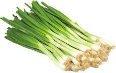 00 Green Onions