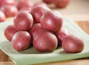 B Size Red Potatoes C A K E of the