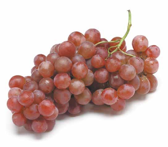 Red Seedless Grapes Buds Vanilla