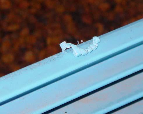 Figure 4. Plastic shreds from a bin which can be a contaminant problem.