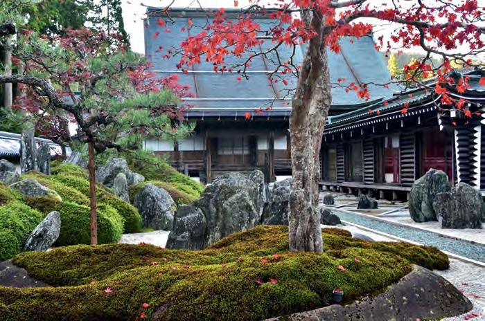 is one of the most sacred places in the country, whispers my guide Yoshiko Morioka, This of Tobu Top Tours, as we pause to admire mounds of moss that cover the graves around Okunoin Temple in Japan.