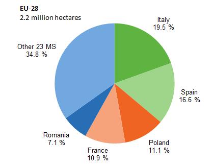Figure 3: Fresh vegetables area by EU Member States, 2015