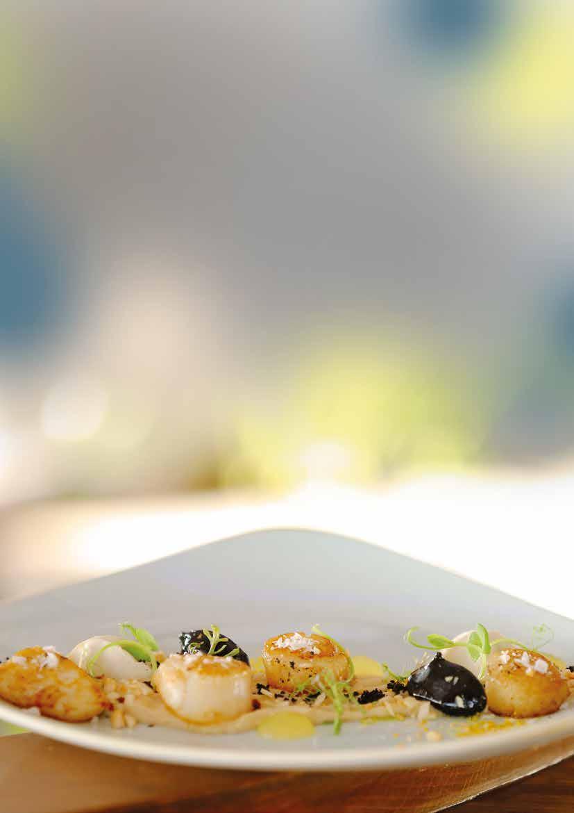 Sea scallops 185 artichoke black olives cream hazelnuts Sustainable marinated salmon 170 panzanella salad ricotta apple caviar SEA Octopus 125 fava beans puree shallot