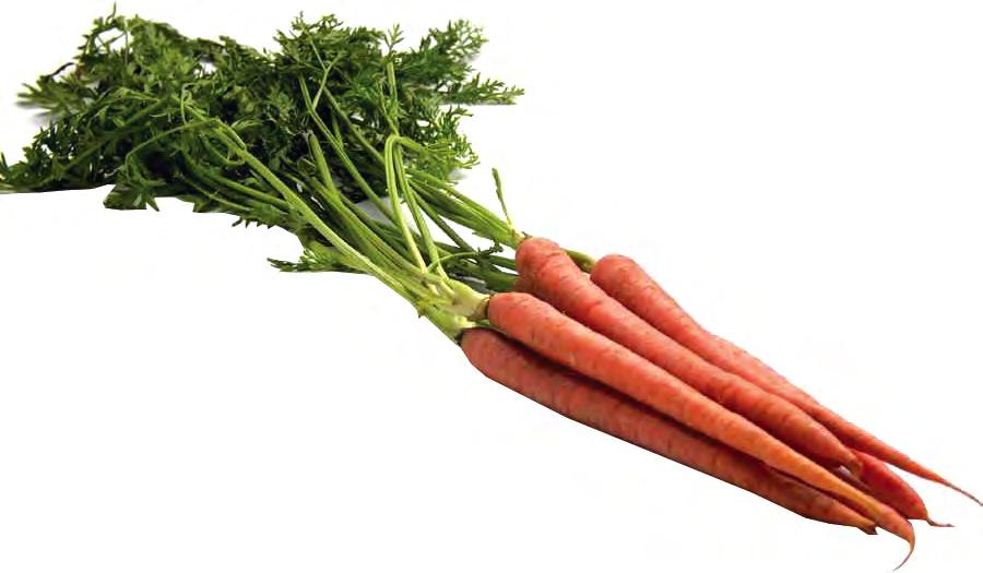 Carrots!