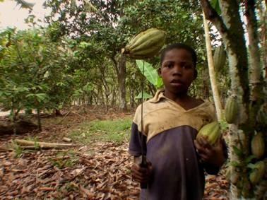 Chatter about Chocolate The Secret Ingredient: Child Slavery Despite a signed protocol by big name brands against child labour in the chocolate industry, many of them are still buying from