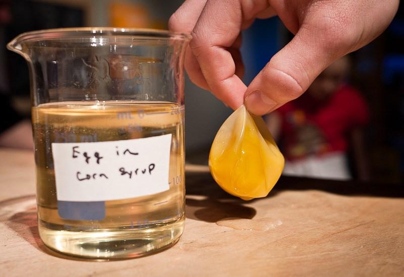 Dissolve the eggshell without breaking the membrane that contains the egg.