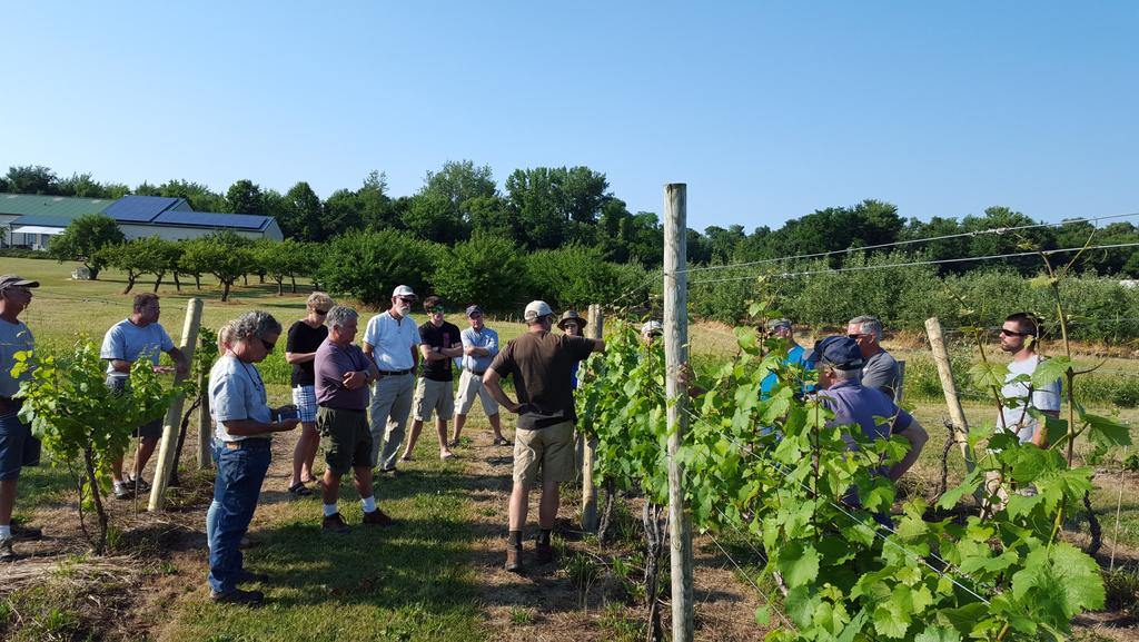 Finger Lakes Grape Program July 5th Tailgate Recap July 6, 2016 (continued from page 4) Gillian Trimber weeks after bloom.