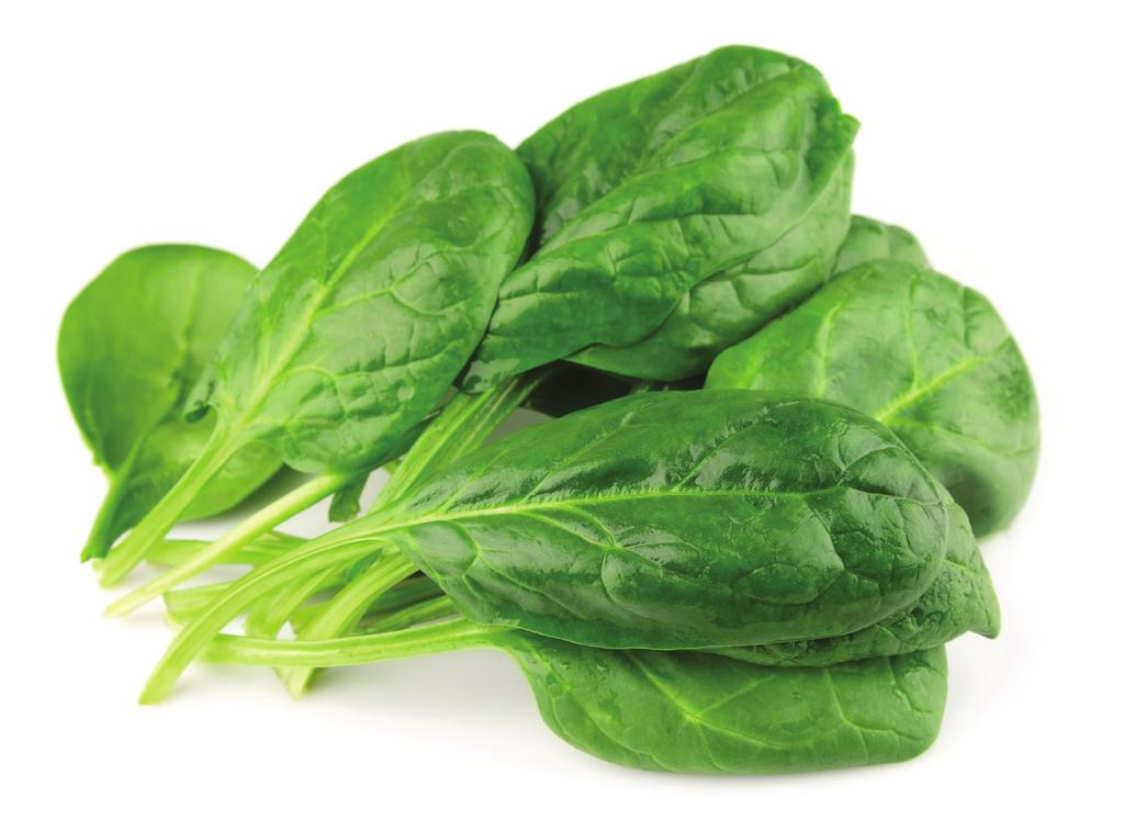 Spinach (babyleaf) Acadia (Babyleaf) High Resistance: Pfs:1-13,15,16 Intermediate Resistance: 14 ACADIA is a babyleaf spinach