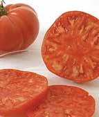 2018 Heirloom/Artisan Tomato Selection RED AND PINK TOMATOES BIG BEEF