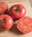Fruits have lots of deep, acidic tomato flavor and a rich, creamy