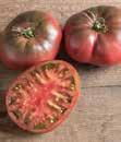 2018 Heirloom/Artisan Tomato Selection BLACK AND PURPLE TOMATOES BLACK KRIM