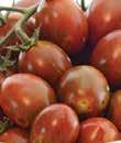 It s a delicious - very sweet - a great snacking tomato and perfect in salads.