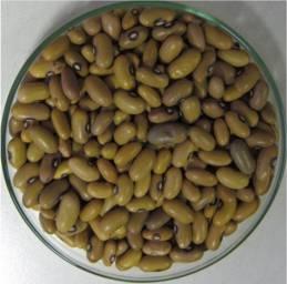beans (Nigeria), as well as North American