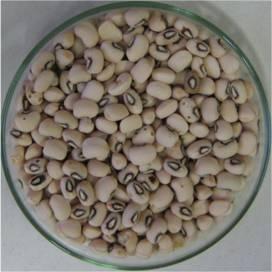 francs/cup) Pea beans