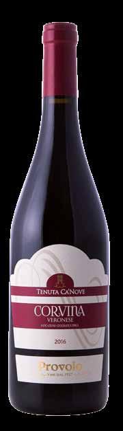 Corvina Veronese IGT Clay Grapes Corvina 100% End of September, by hand Steel Tank at controlled temperature Steel Tank for at least 6 months Limpid, light ruby red Fresh and mid body structure