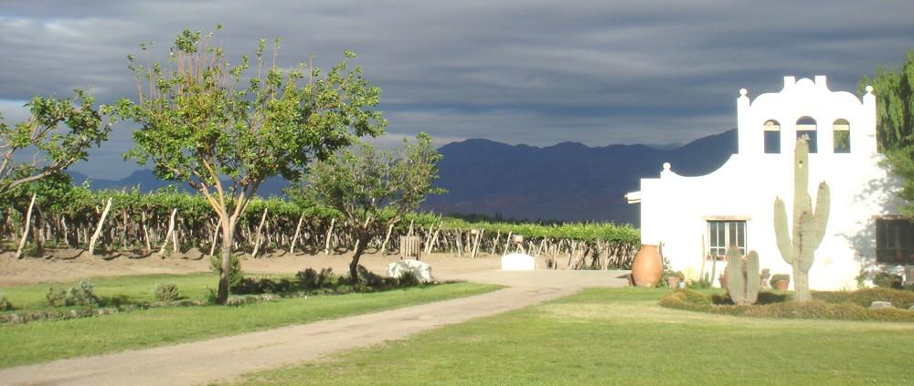 CAMINO DEL INCA C a f a y a t e, Salta Experience the Best of Salta's Terroir The Southern part of the Inca civilization once ruled where Camino del Inca's estate vineyards are now located in