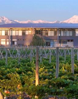 ZOLO V arious Regions, Mendoza, Argentina The Most Awarded Brand in Argentina -2010 Viñas, Bodegas & Vinos de Argentina Zolo is produced at one of the most technologically advanced wineries in