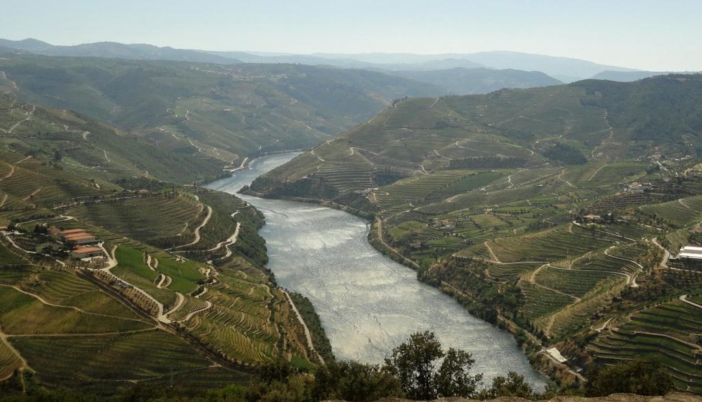 Região Demarcada do Douro / Douro Demarcated Region (DDR) 43 600 ha of vineyards 36 000 ha of steeply sloping vineyards When compared to many other