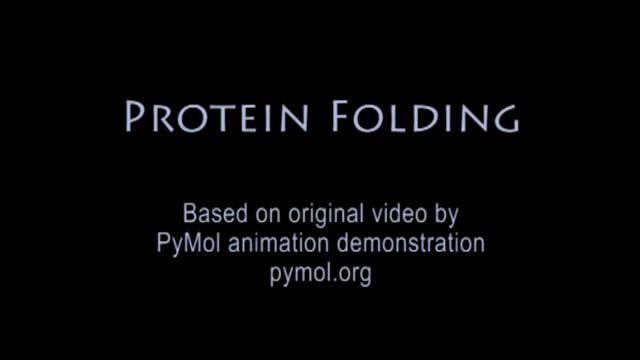 From Proteins