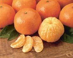 Tangerine (C.