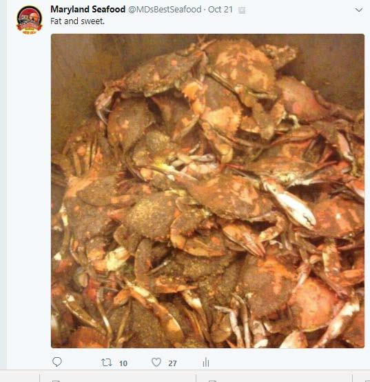SOCIAL MEDIA Seafood Marketing Twitter account rebranded in August. Reached 38,000 people from August to October.