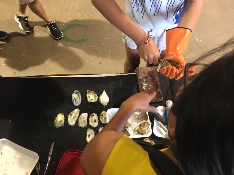 oyster shucking 7,500 Maryland s Best Seafood fans distributed from