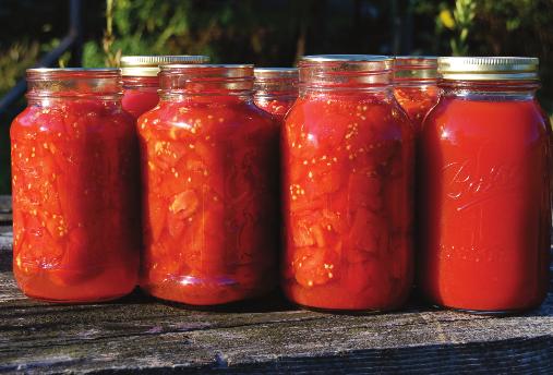 Pressure canning basics Project objectives Learn how to safely preserve tomato products, vegetables, meats, and combinations of meats and vegetables.