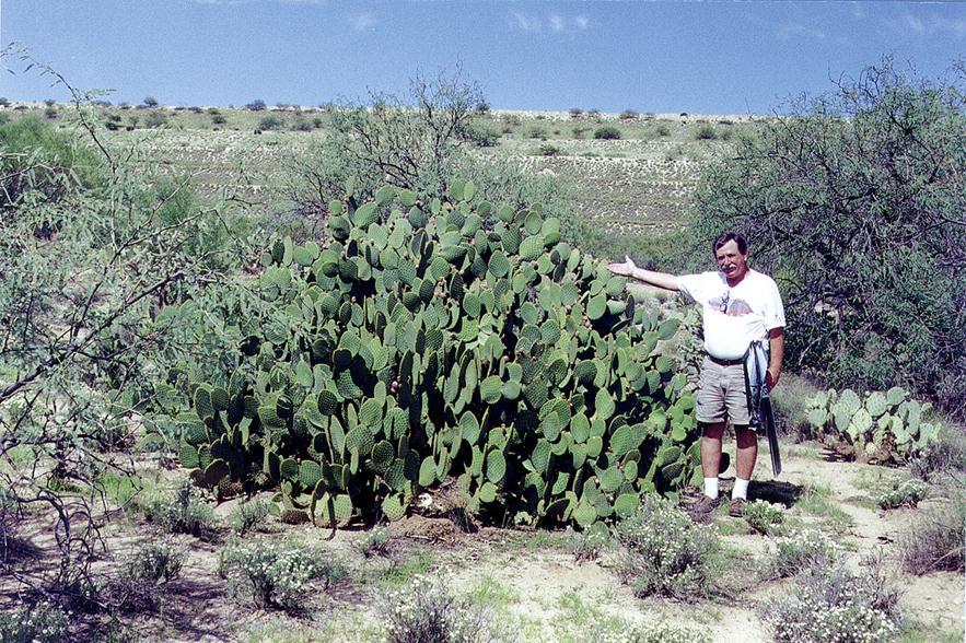 TUCSON CACTUS AND SUCCULENT SOCIETY: Started in 1960, the Tucson Cactus and Succulent Society now has over 1000 members.