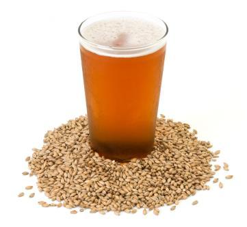 Malt Selection Can select low protein malts Tannins (polyphenols) come primarily from husk, and some grains have de-husked versions Tradeoff in foam retention Some