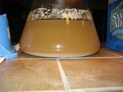 TYPICAL STEP UP SCHEDULE FOR 5 GAL AVERAGE OG BREW (SUNDAY BREW DAY) Sunday Evening Tuesday Evening Thursday Evening Saturday Scrape loop-full from slant and place inside 15ml test-tube.