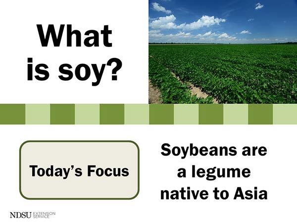 Slide 3 - What is soy? Soy is a plant native to Asia and has been a staple in the Asian diet for more than 5,000 years. However, large-scale soybean cultivation did not start in the U.S. until around World War II.