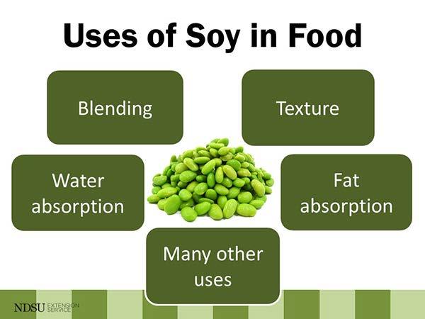 Soy milk Soy milk is a fluid produced from soaking and straining soybeans.