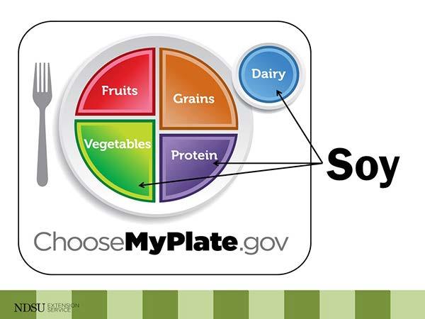 Slide 11 - Choose MyPlate Soy qualifies for multiple food groups: protein, vegetable and dairy. 5 Simply Soy Lesson Plan www.ag.ndsu.