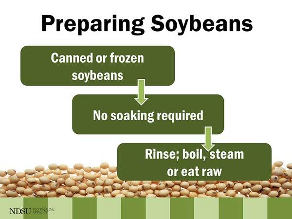 Vegetarian diet: Soybeans are a good source of protein, an essential part of the vegetarian diet. Weight management diet: Soybeans are high in fiber and protein, leading to a feeling of fullness.