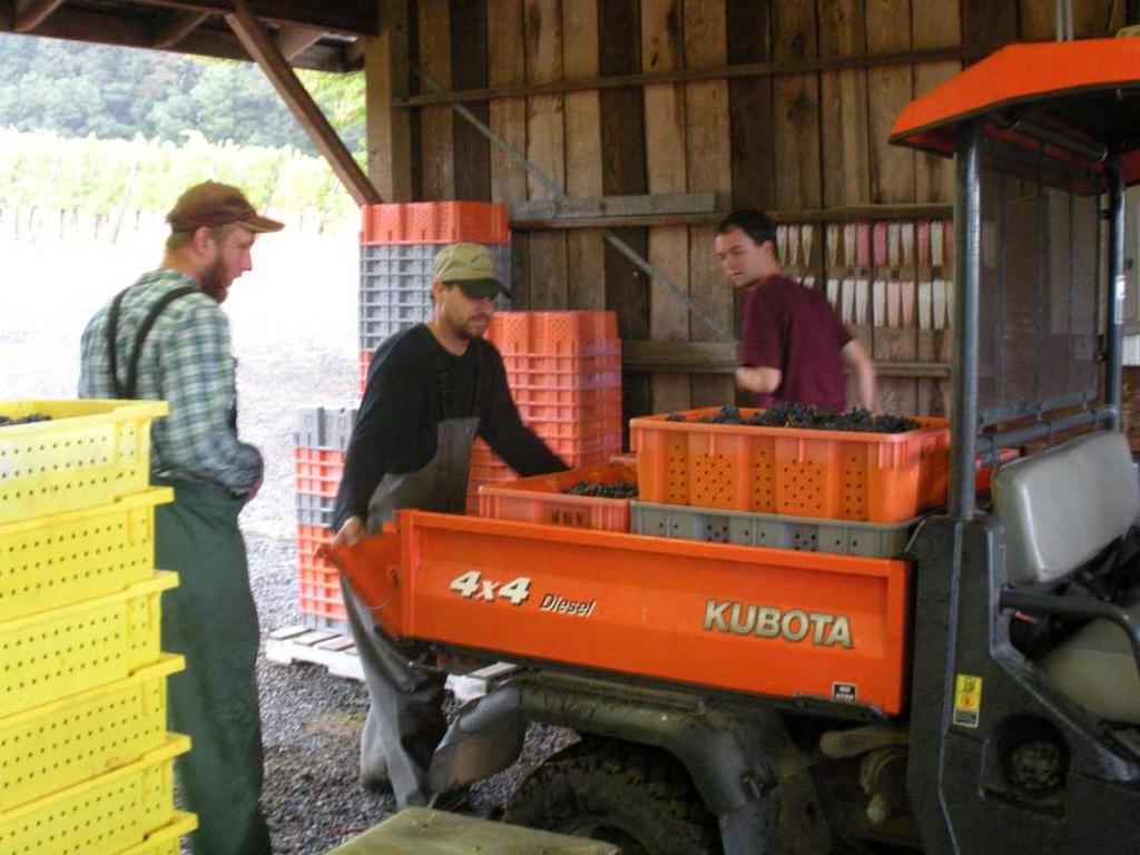 Program history to serve in the important role of student vineyard manager.