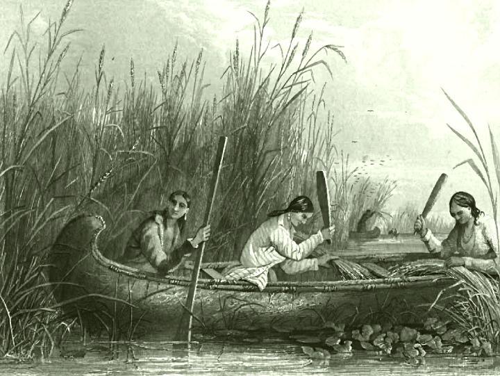 were held over the canoes.