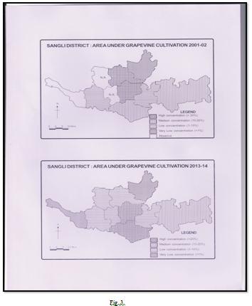 Moderate Concentration (10-20 per cent) In 2001-02 this Zone includes Jath and Miraj tahsils having 14.88 and 11.01 per cent hectares area under grape cultivation respectively.