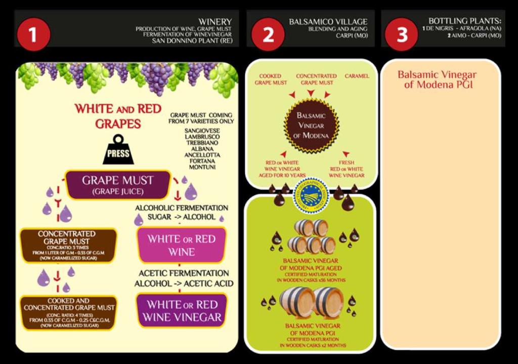 INTEGRATED SUPPLY CHAIN WINERY PRODUCTION OF WINE, GRAPE MUST FERMENTATION OF WINE VINEGAR SAN DONNINO PLANT