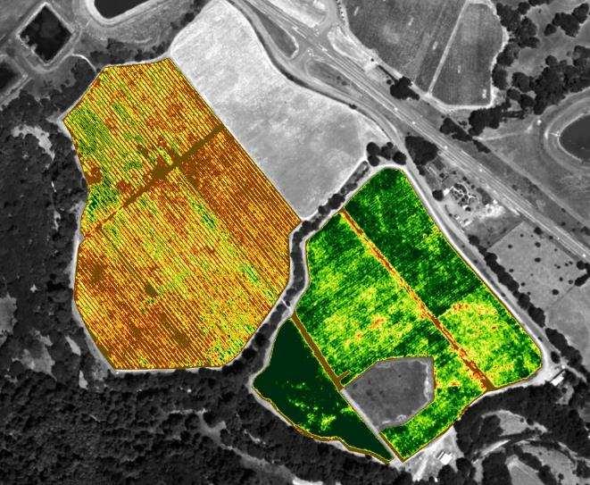 NDVI* results are different, 2 hours later 11:59 am 2:09 pm Shadows related to row direction