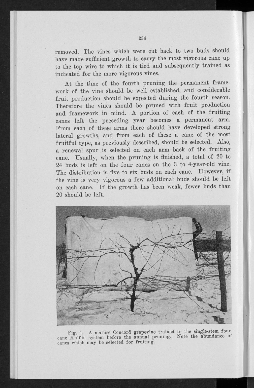 Bulletin P, Vol. 1, No. 7 [1941], Art. 1 234 removed.