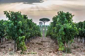 May 21, 2018 Jefford on Monday: Delta wine Andrew Jefford discovers Costières de Nîmes... At last: a solution to the vexed identity of the Costières de Nîmes.